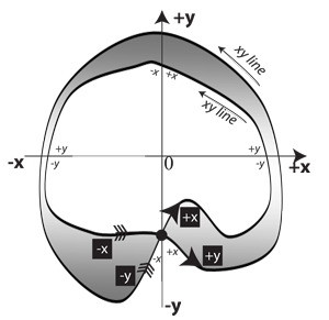 Figure 28: Mobius strip immersed in two dimensions