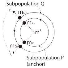 Figure 49: A putative isotropic population