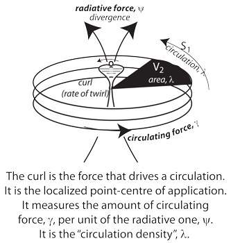Figure 18: Linking the homomorphic, homeomorphic, and homotopically equivalent