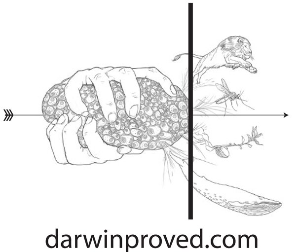 darwinproved.com