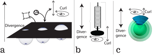 Figure 44: Cauchy tensor transformations