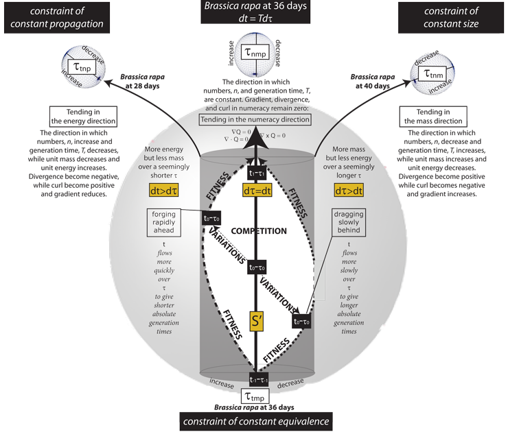 Figure 40: A model for biology