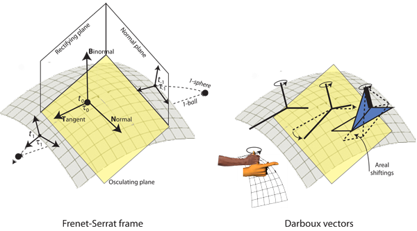 Figure 14: The TNB Frenet-Serrat frame (with Darboux vectors)