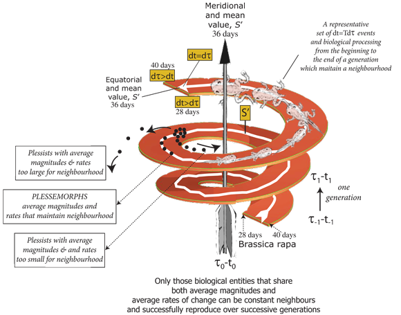 Figure 9: The problem of variable generation lengths