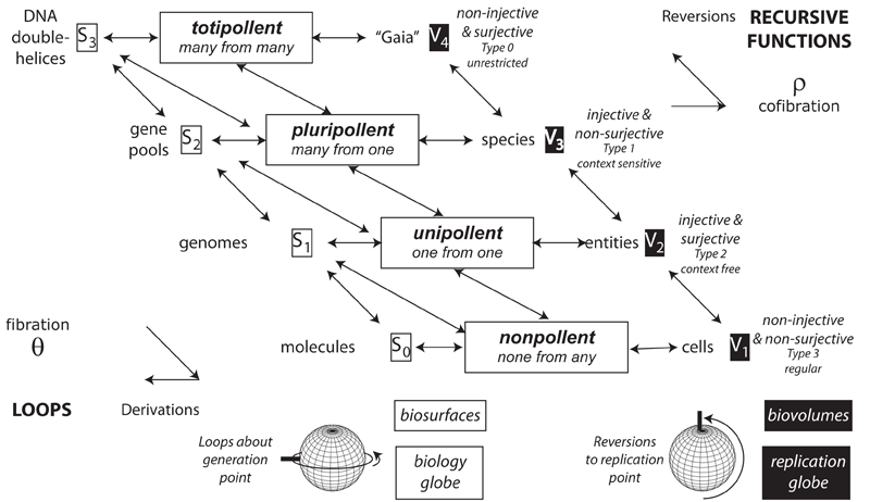 Pollency or reproductive power