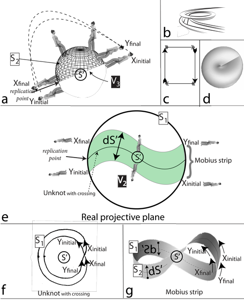 Figure 15: Reproduction and the real projective plane