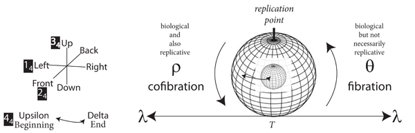 Figutr 2: A biological generation