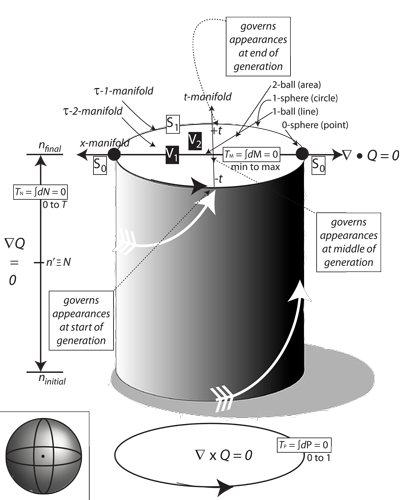 Figure 25: The time manifold and the numeracy of a biological population